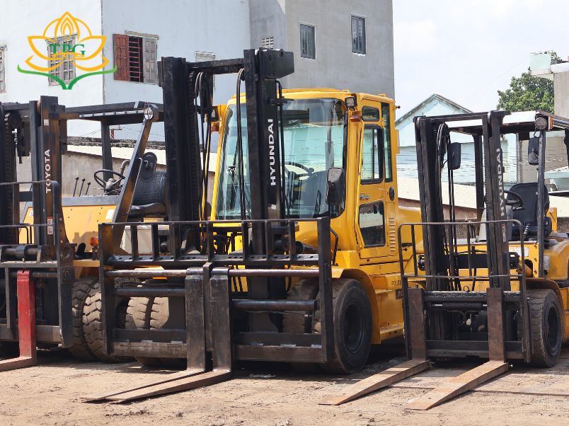 Các chủng loại xe nâng cho thuê tại Tiến Phát